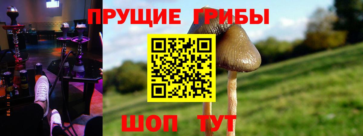 Галлюциногенные грибы ЛСД  Галлюциногенные грибы Psilocybine cubensis  Вход с VPN  Волгодонск 